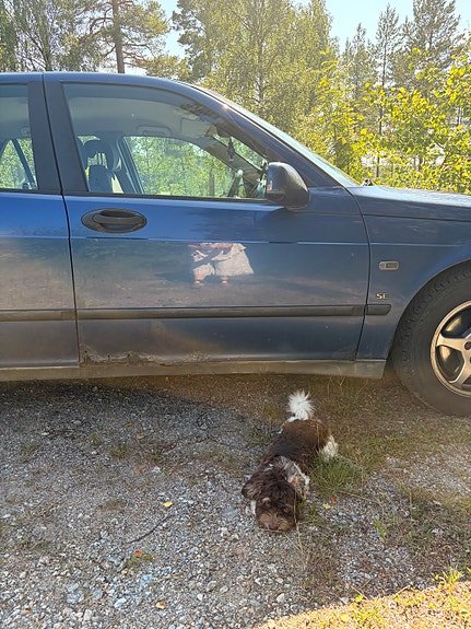 Saab 9-5 3 of 3