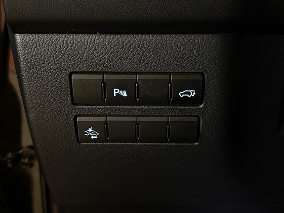 Lexus NX300h 21 of 22