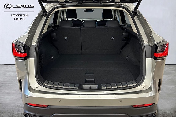 Lexus NX450h+ 19 of 21