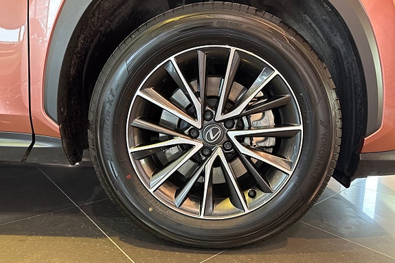 Lexus NX450h+ 14 of 27