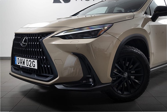 Lexus NX450h+ 10 of 29