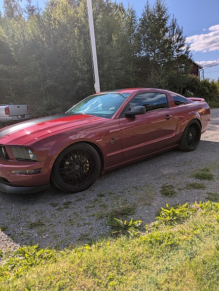 Ford Mustang 5 of 6