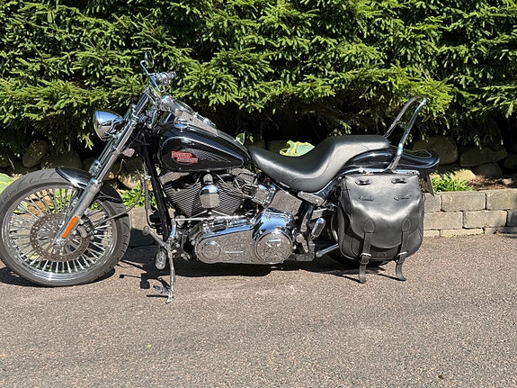 Harley-Davidson Softail Custom 105th Anniversary Custom 3 of 7