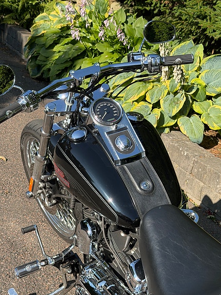Harley-Davidson Softail Custom 105th Anniversary Custom 4 of 7