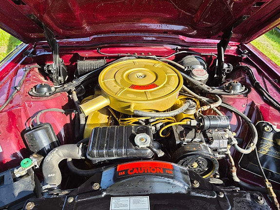 Ford Thunderbird 5 of 5