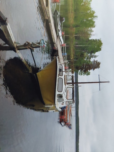 Ålandssnipa 4 of 5