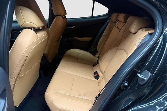 Lexus UX250h 16 of 19