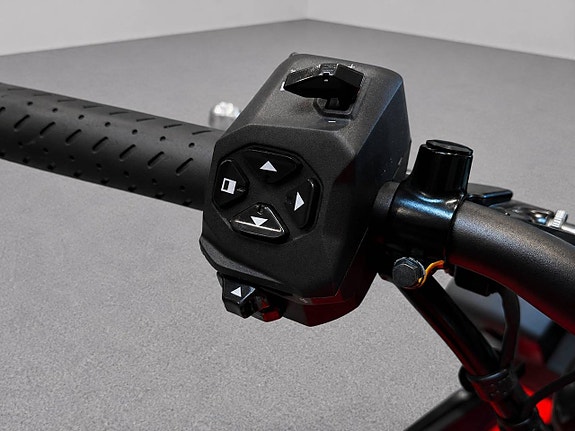 Aprilia Touno 660 | Quickshifter | Farthållare | TFT-display 8 of 9