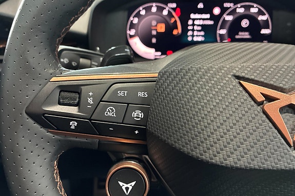 Cupra Terramar 13 of 26