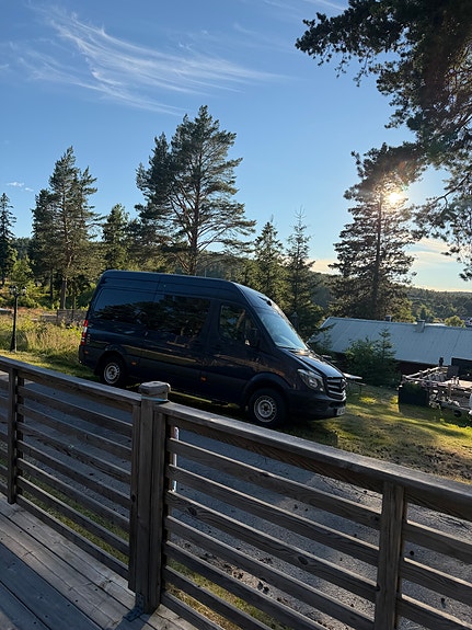 Mercedes-Benz Sprinter 316 13 of 15