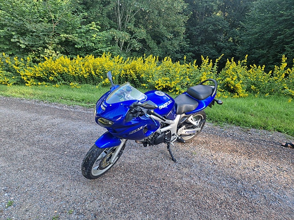 Suzuki SV650 2 of 3
