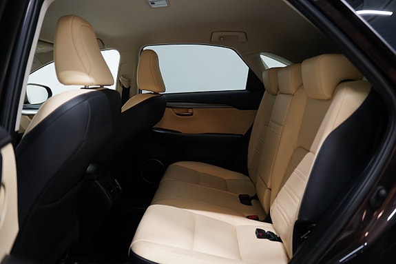Lexus NX300h 19 of 22