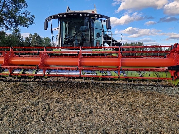 CLAAS Lexion 650 25” V750, 3D sållkasse 3 of 5