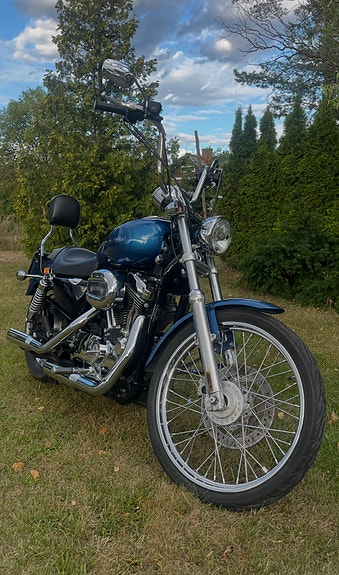 Harley-Davidson XL 1200 C 3 of 5