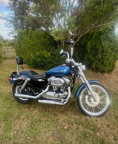 Harley-Davidson XL 1200 C 2 of 5