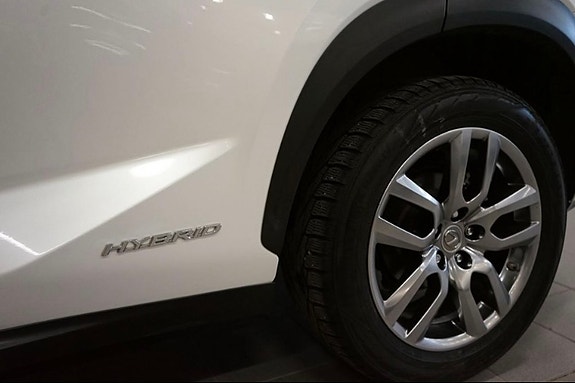 Lexus NX300h 13 of 14