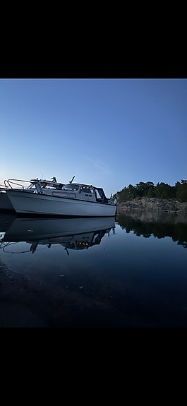 Albin 25 deluxe - bogpropeller 2 of 5