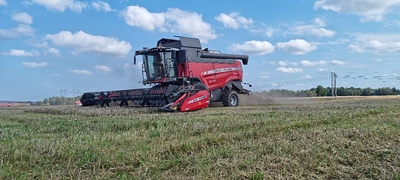 Massey Ferguson Beta 7370 4 of 5