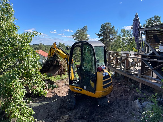 JCB 8018 2 of 2