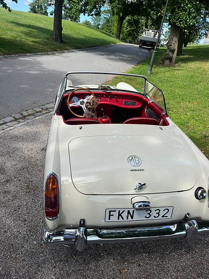MG Midget 2 of 4