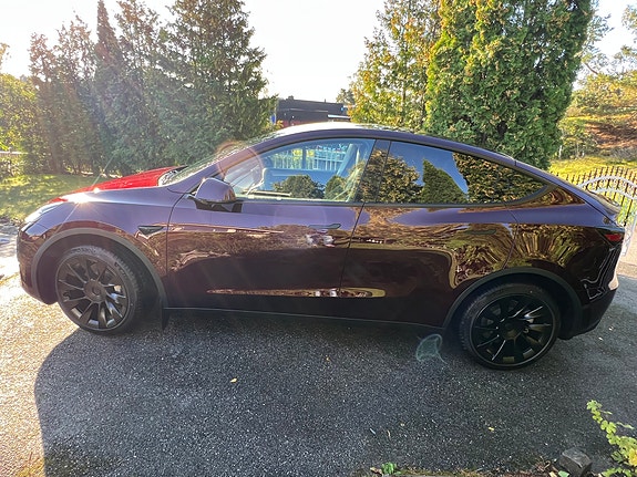 Tesla Model Y 8 of 13