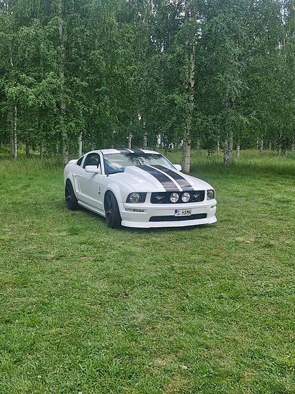 Ford Mustang 2 of 2