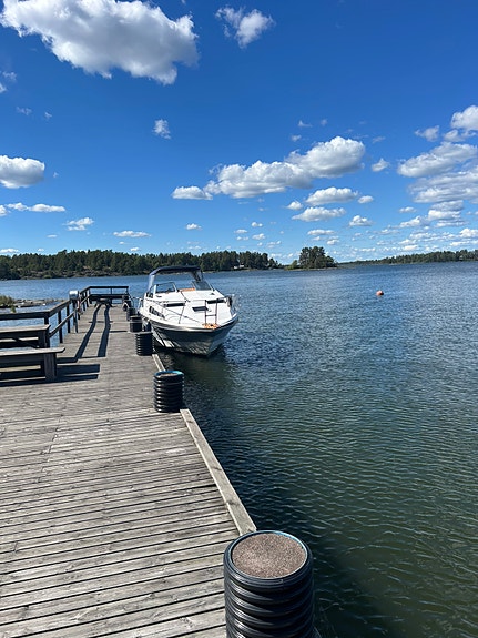 Bayliner 5.8 Omc 2655 2 of 5