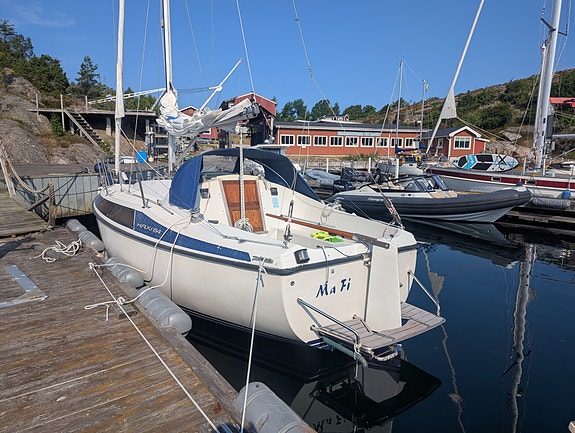 Maxi 84 2 of 11