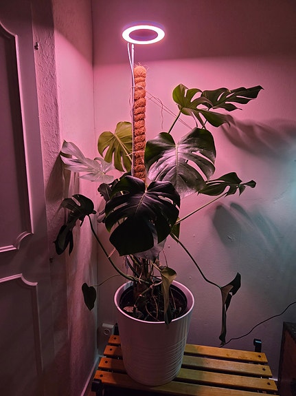 Product image 1 of 8