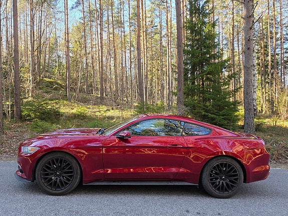 Ford Mustang 8 of 11