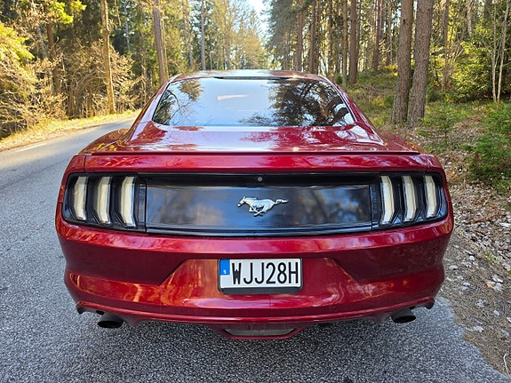 Ford Mustang 11 of 11
