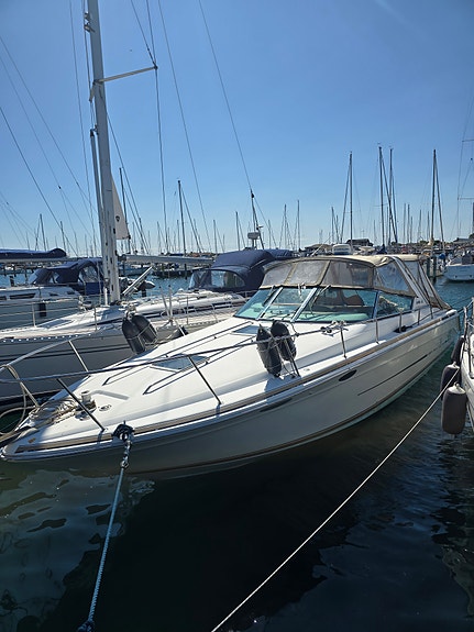 Sea Ray 380 Sun Sport 5 of 23
