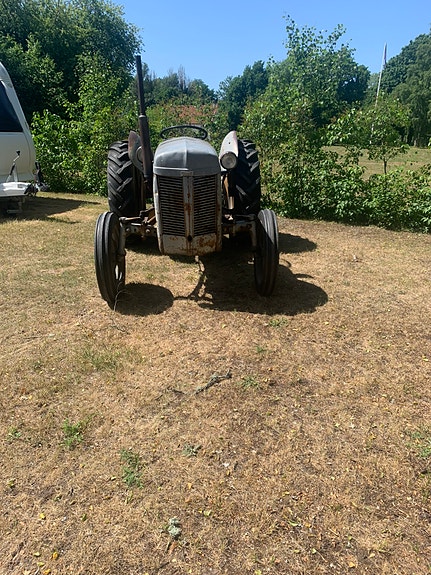 Massey Ferguson Grålle TED 2 of 5