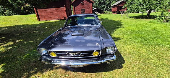 Ford Mustang 2 of 2