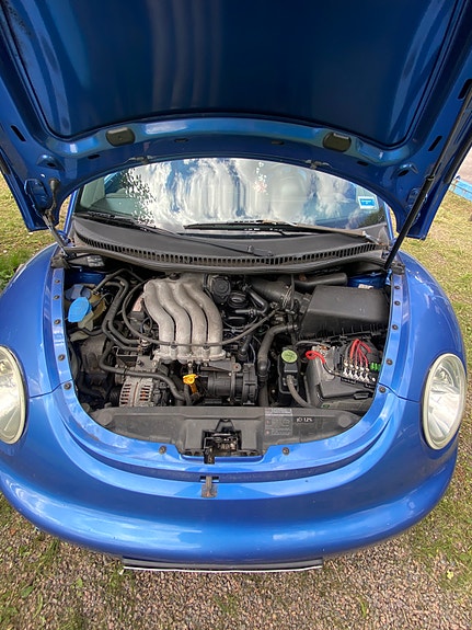 Volkswagen New Beetle 12 of 12