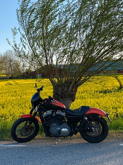 Harley-Davidson Nightster 3 of 4