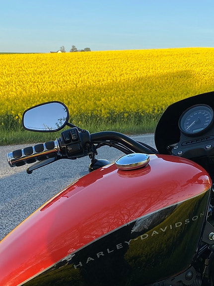 Harley-Davidson Nightster 2 of 4
