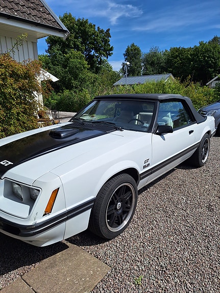 Ford Mustang 3 of 3