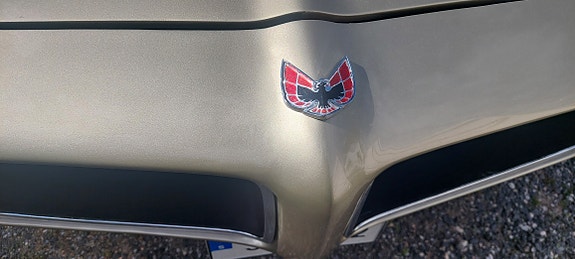 Pontiac Firebird 10 of 12