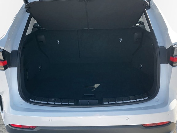 Lexus NX450h+ 10 of 10