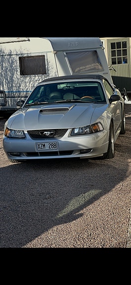 Ford Mustang 5 of 5