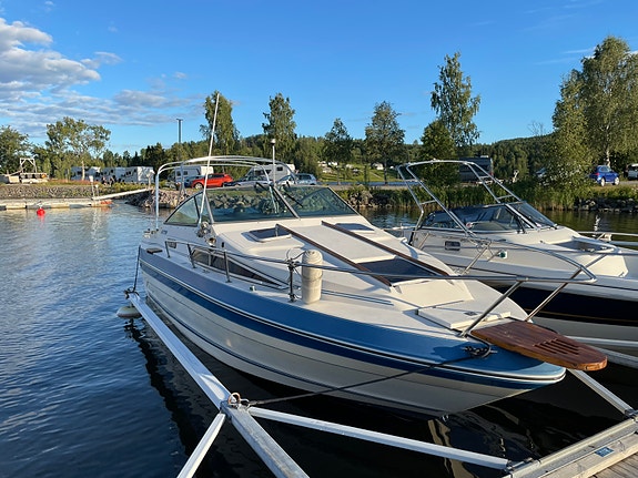 Sea ray 23 2 of 10