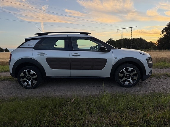 Citroen C4 Cactus 5 of 5