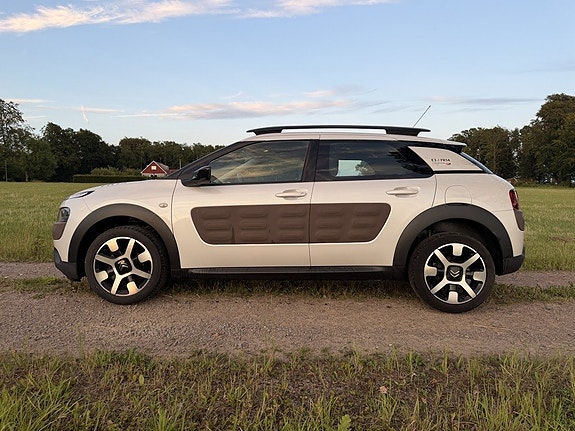 Citroen C4 Cactus 4 of 5