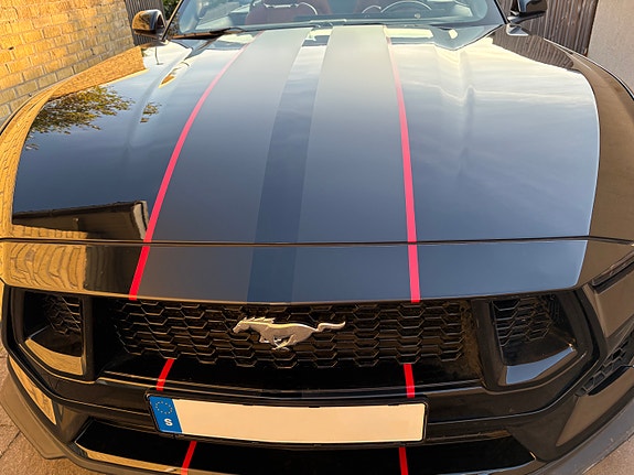 Ford Mustang 5 of 5