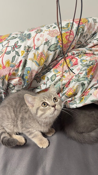 Product image 14 of 20
