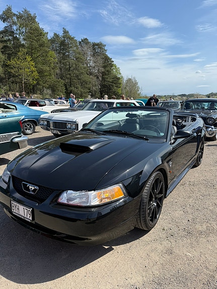 Ford Mustang 5 of 5