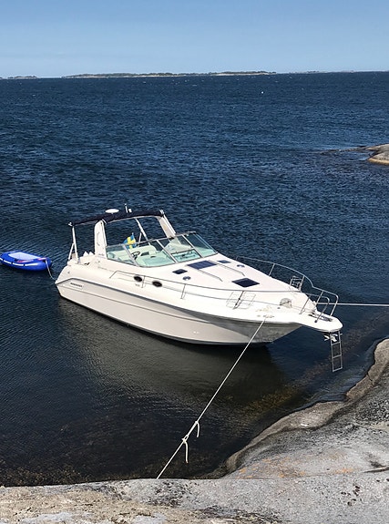 Sea Ray 300 Sundancer 17 of 19