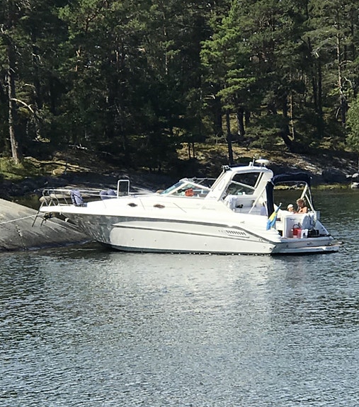 Sea Ray 300 Sundancer 2 of 19