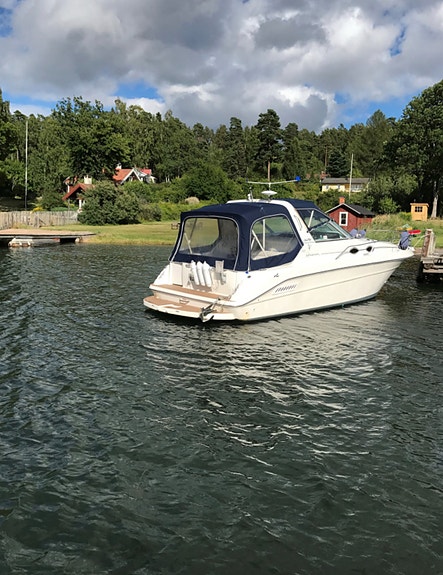 Sea Ray 300 Sundancer 5 of 19